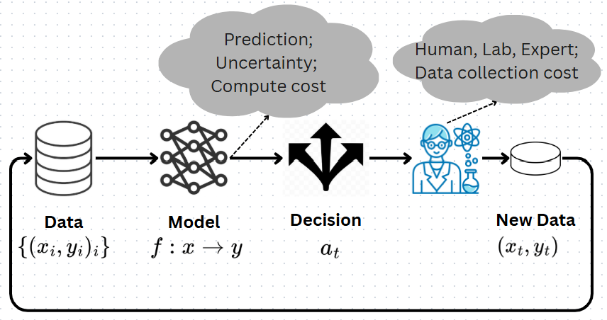Human-in-the-Loop Learning