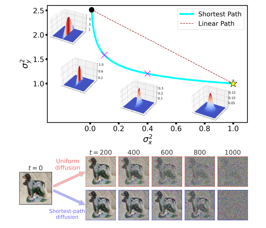 Shortest Path Diffusion